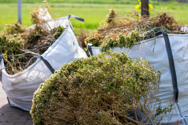 Best Dumpster Rental Services  in Pinch, WV
